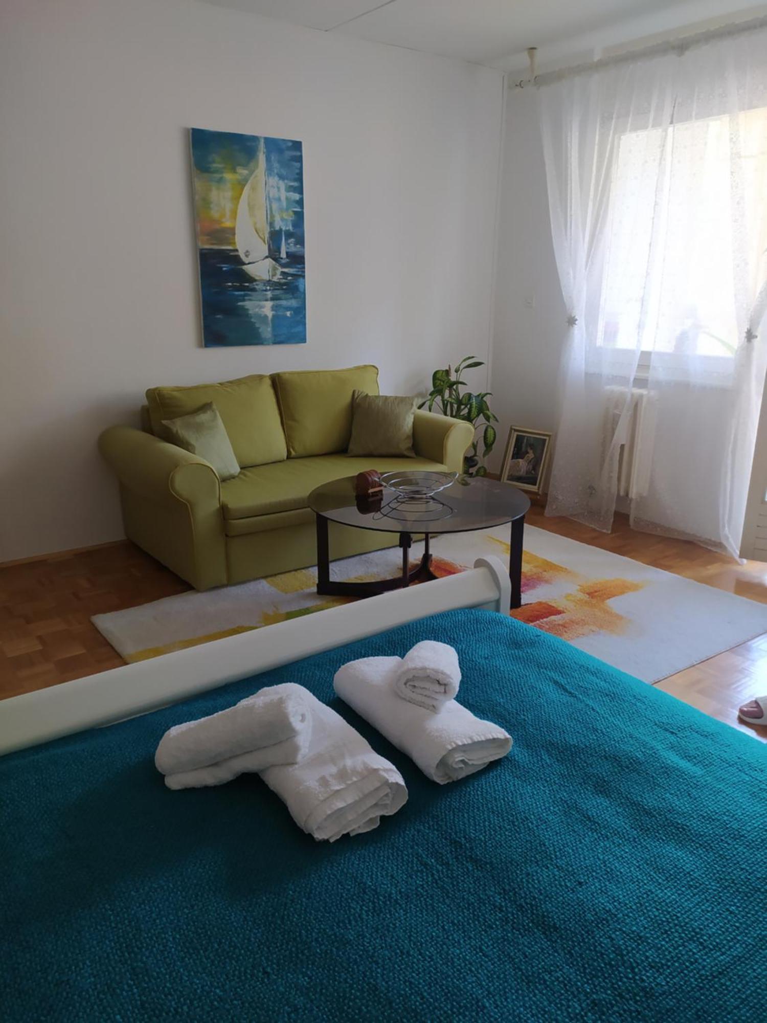 Alea Studio Apartment&Garage In The Heart Of سراييفو المظهر الخارجي الصورة